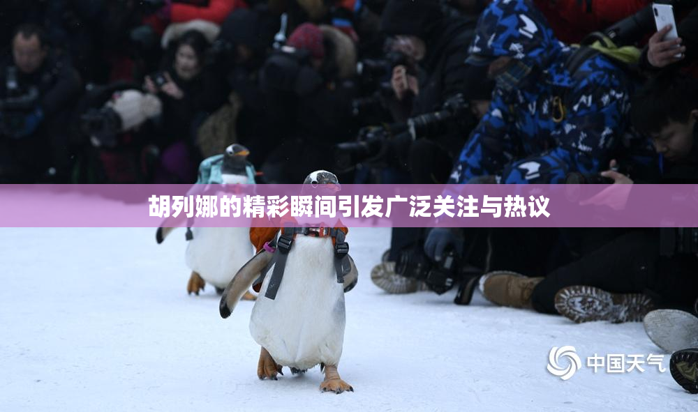 胡列娜的精彩瞬间引发广泛关注与热议