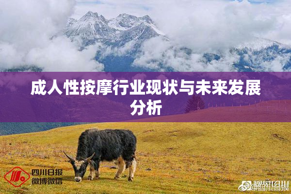 成人性按摩行业现状与未来发展分析
