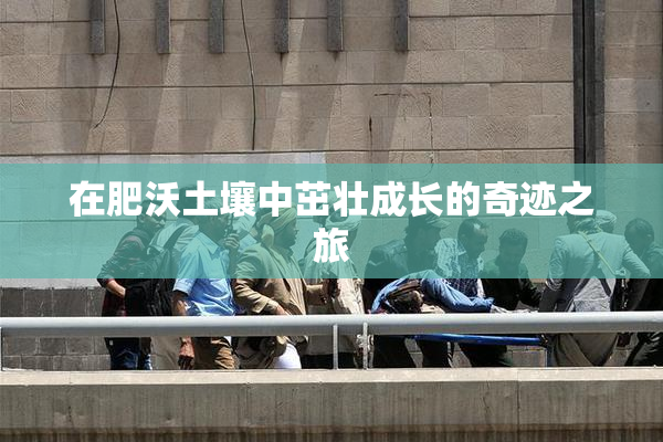 在肥沃土壤中茁壮成长的奇迹之旅