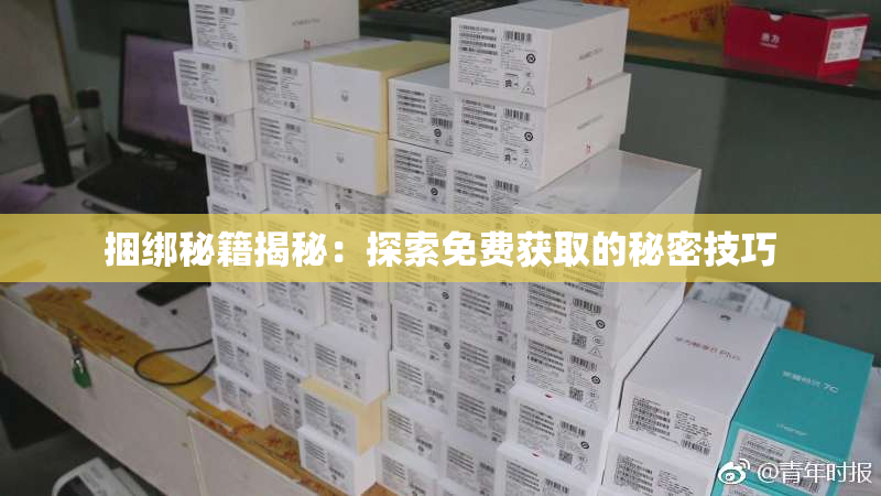 捆绑秘籍揭秘：探索免费获取的秘密技巧