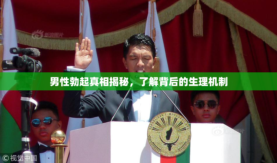 男性勃起真相揭秘，了解背后的生理机制