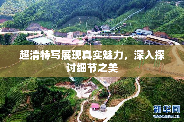 超清特写展现真实魅力，深入探讨细节之美