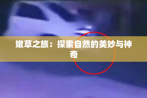 嫩草之旅：探索自然的美妙与神奇