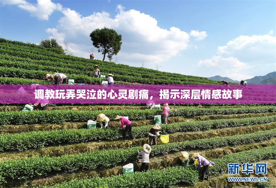 调教玩弄哭泣的心灵剧痛，揭示深层情感故事