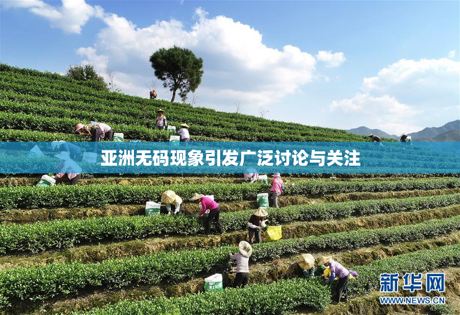 亚洲无码现象引发广泛讨论与关注