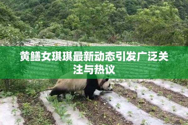 黄鳝女琪琪最新动态引发广泛关注与热议