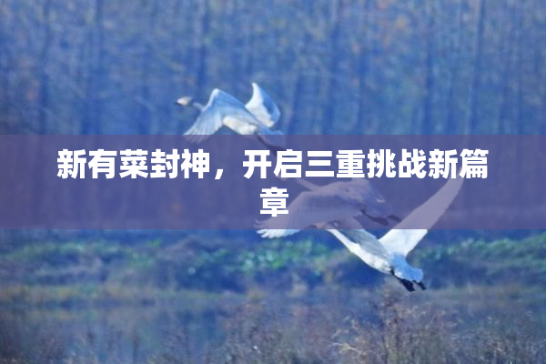 新有菜封神，开启三重挑战新篇章