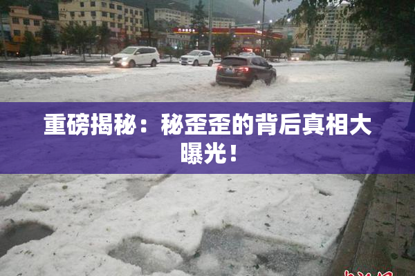 重磅揭秘：秘歪歪的背后真相大曝光！