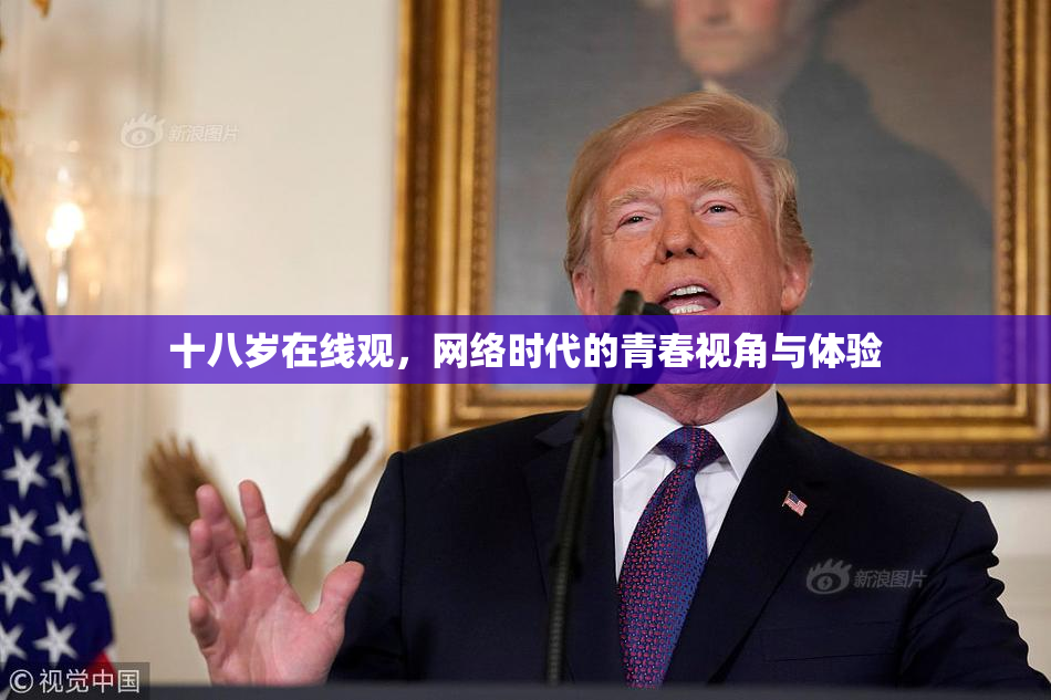 十八岁在线观，网络时代的青春视角与体验