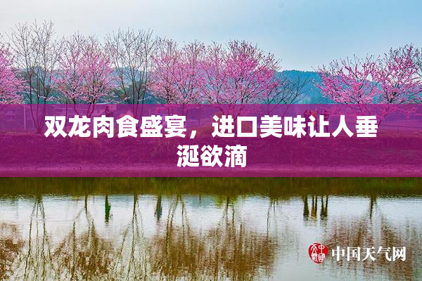 双龙肉食盛宴，进口美味让人垂涎欲滴