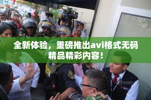 全新体验，重磅推出avi格式无码精品精彩内容！