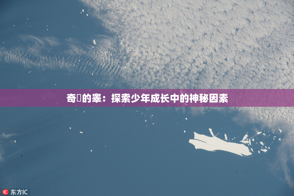 奇犽的睾：探索少年成长中的神秘因素
