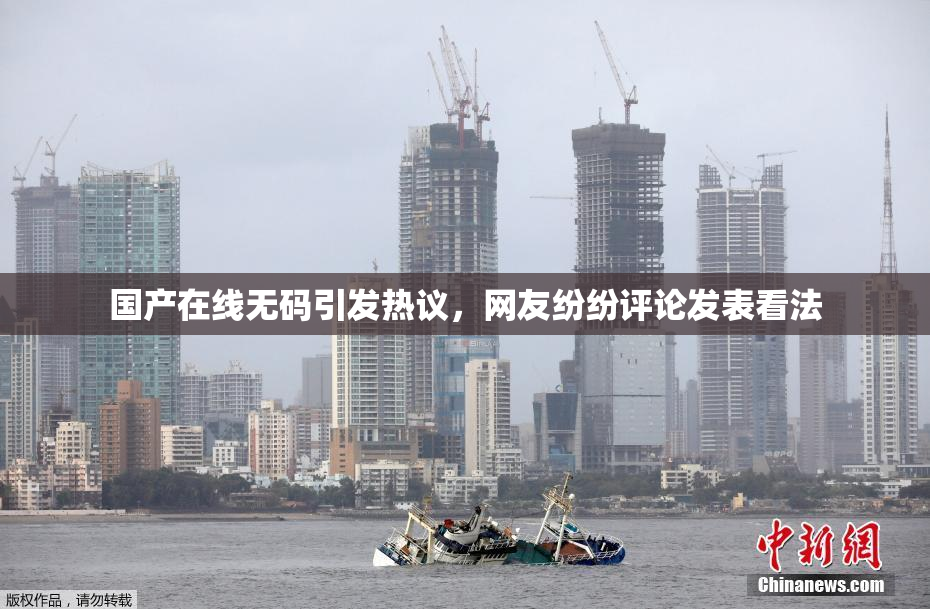 国产在线无码引发热议，网友纷纷评论发表看法