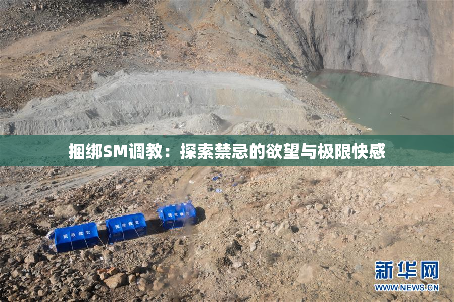 捆绑SM调教：探索禁忌的欲望与极限快感