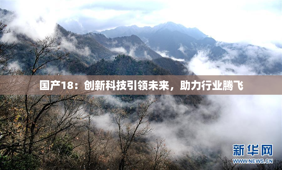 国产18：创新科技引领未来，助力行业腾飞