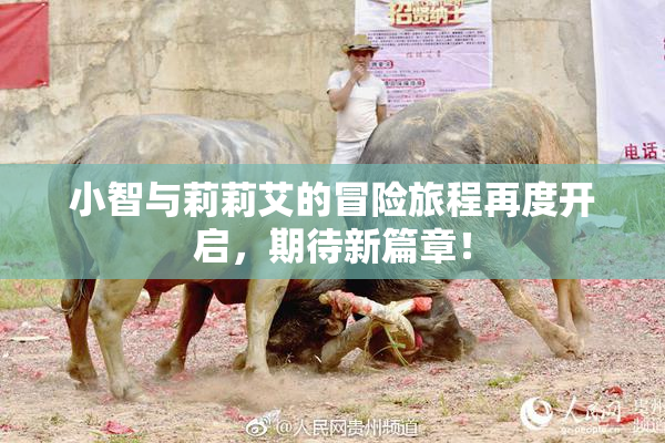 小智与莉莉艾的冒险旅程再度开启，期待新篇章！