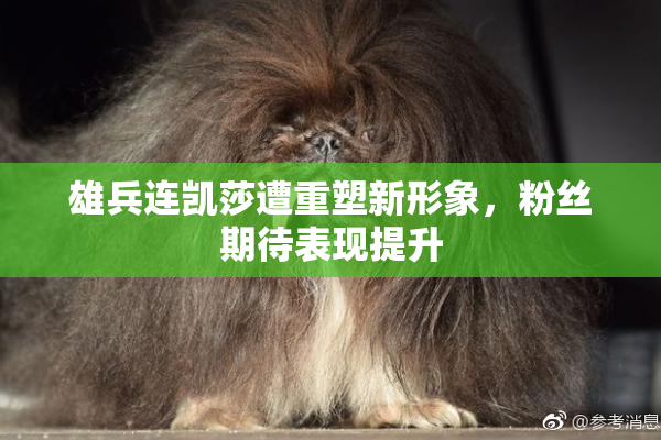 雄兵连凯莎遭重塑新形象，粉丝期待表现提升