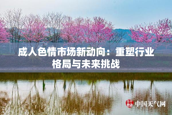 成人色情市场新动向：重塑行业格局与未来挑战