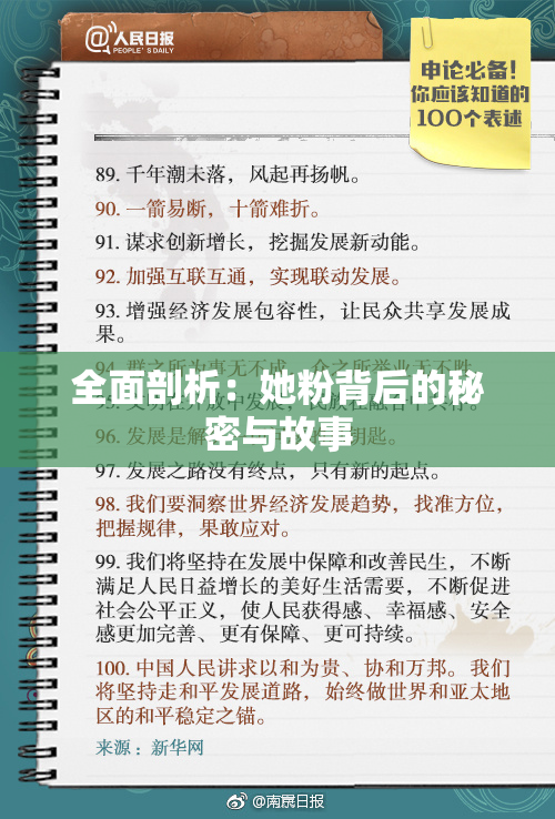 全面剖析：她粉背后的秘密与故事