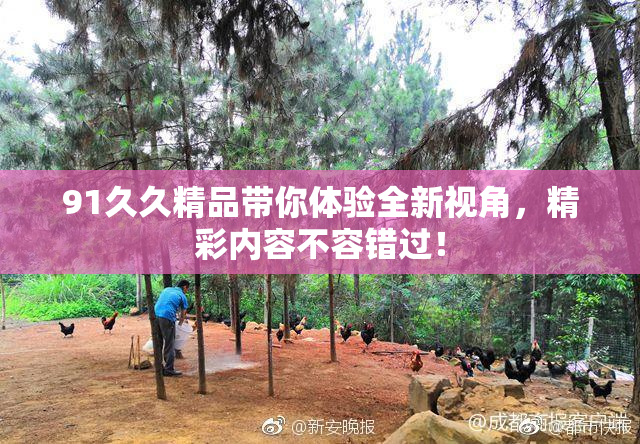 91久久精品带你体验全新视角，精彩内容不容错过！