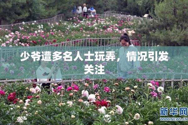 少爷遭多名人士玩弄，情况引发关注
