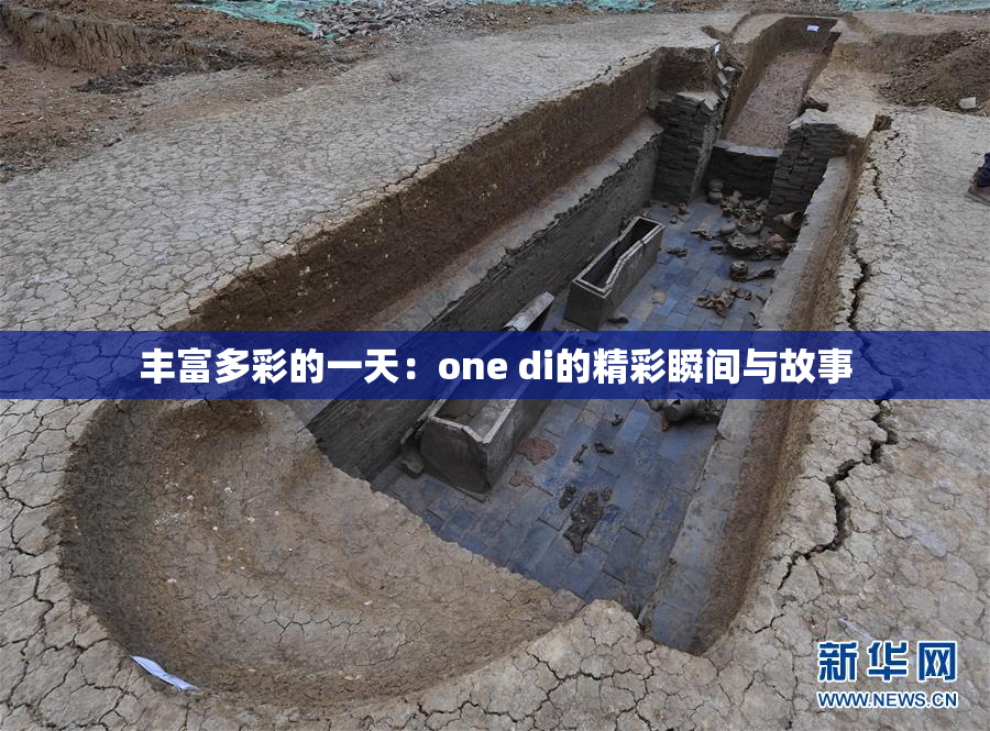 丰富多彩的一天：one di的精彩瞬间与故事