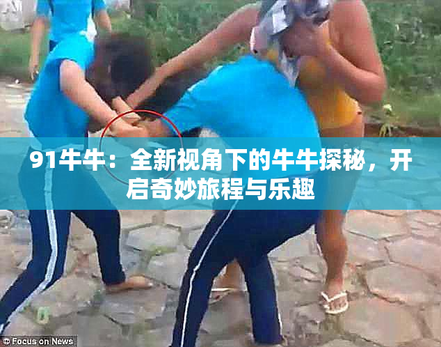 91牛牛：全新视角下的牛牛探秘，开启奇妙旅程与乐趣