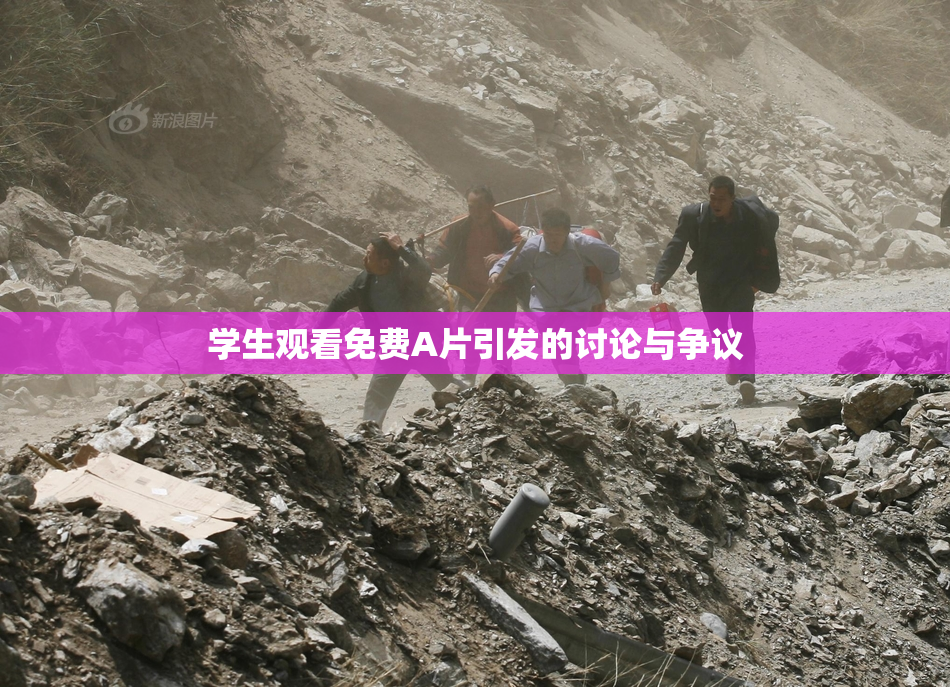 学生观看免费A片引发的讨论与争议