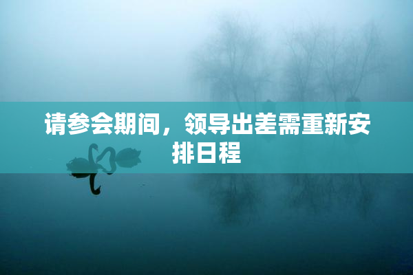 请参会期间，领导出差需重新安排日程