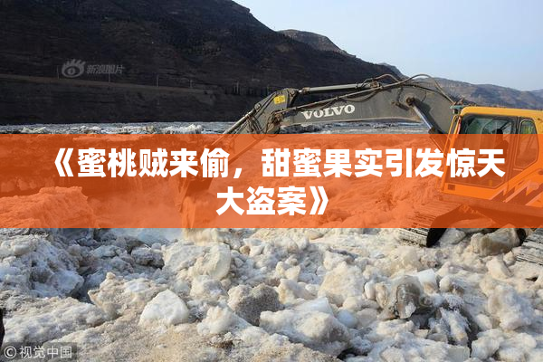 《蜜桃贼来偷，甜蜜果实引发惊天大盗案》