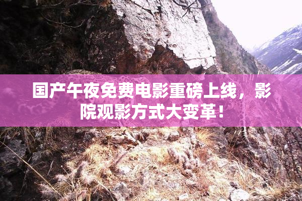 国产午夜免费电影重磅上线，影院观影方式大变革！