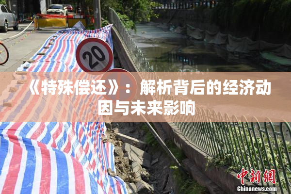 《特殊偿还》：解析背后的经济动因与未来影响