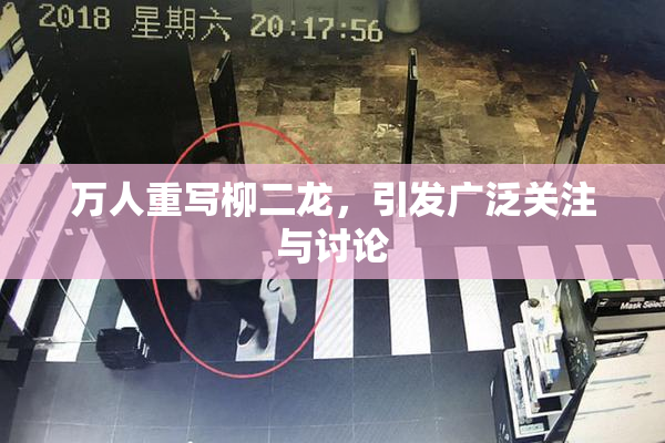 万人重写柳二龙，引发广泛关注与讨论