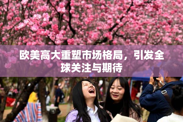 欧美高大重塑市场格局，引发全球关注与期待