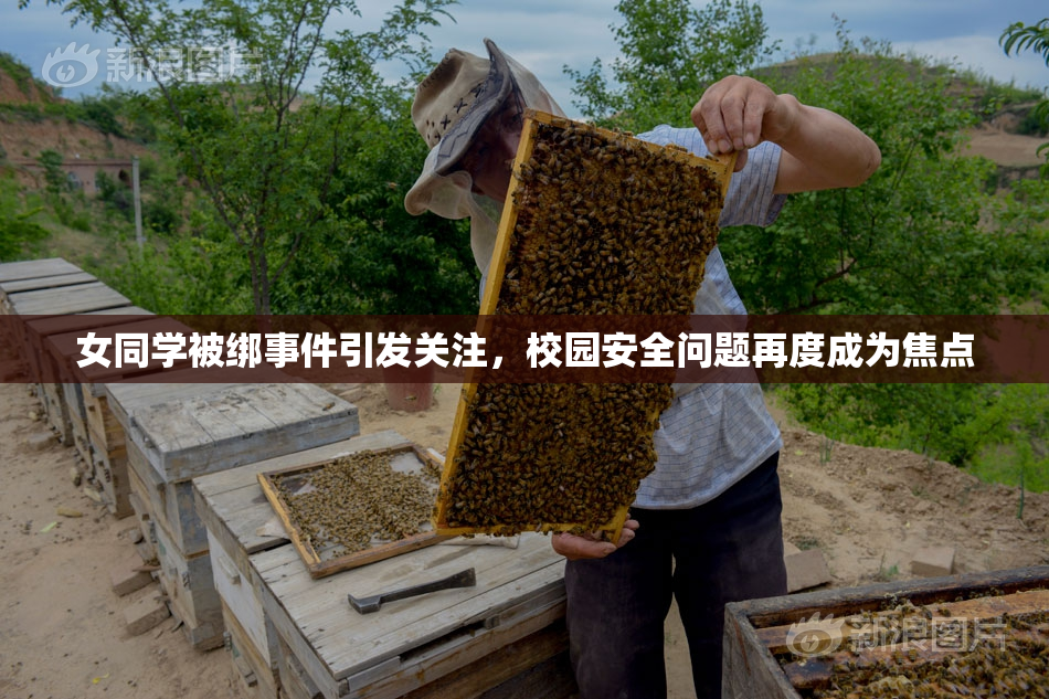 女同学被绑事件引发关注，校园安全问题再度成为焦点