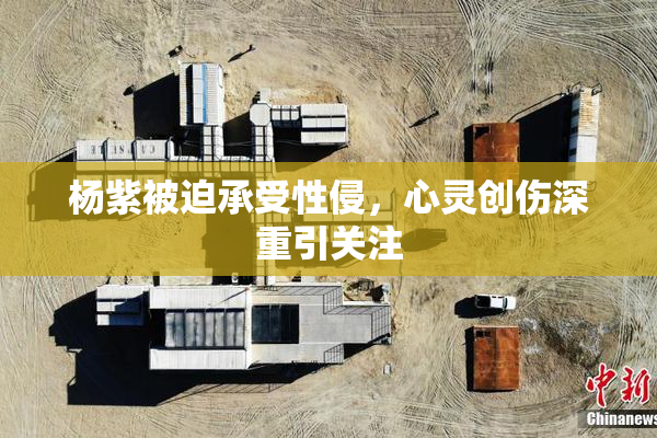 杨紫被迫承受性侵，心灵创伤深重引关注