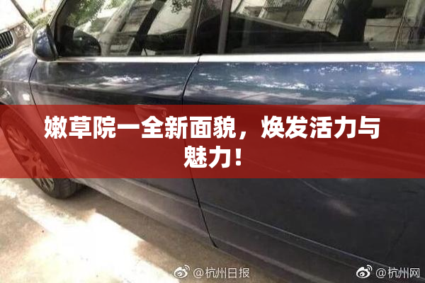 嫩草院一全新面貌，焕发活力与魅力！