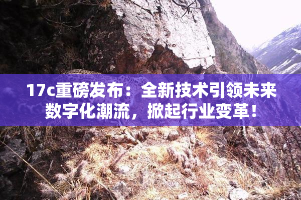 17c重磅发布：全新技术引领未来数字化潮流，掀起行业变革！