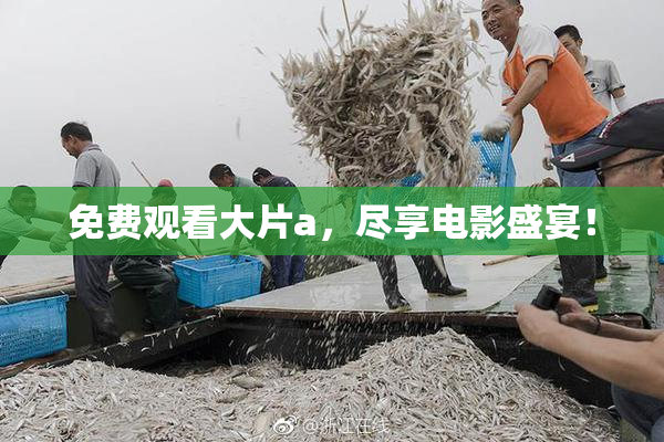 免费观看大片a，尽享电影盛宴！