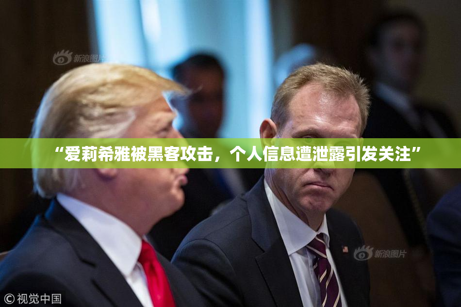 “爱莉希雅被黑客攻击，个人信息遭泄露引发关注”