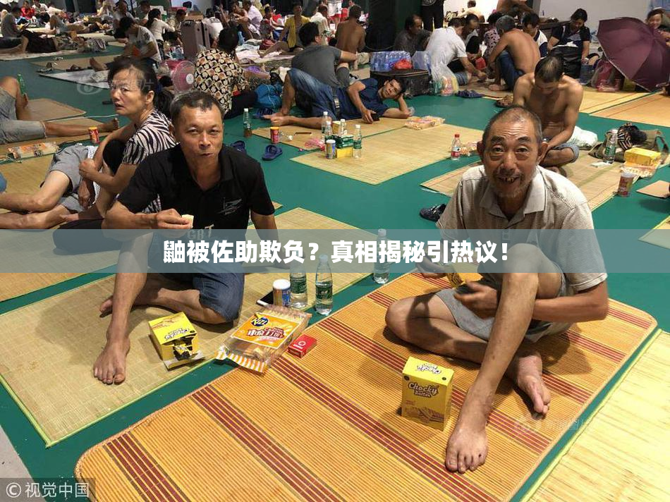 鼬被佐助欺负？真相揭秘引热议！
