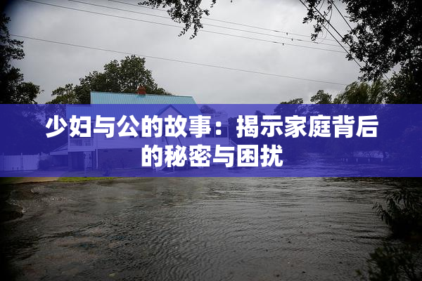 少妇与公的故事：揭示家庭背后的秘密与困扰