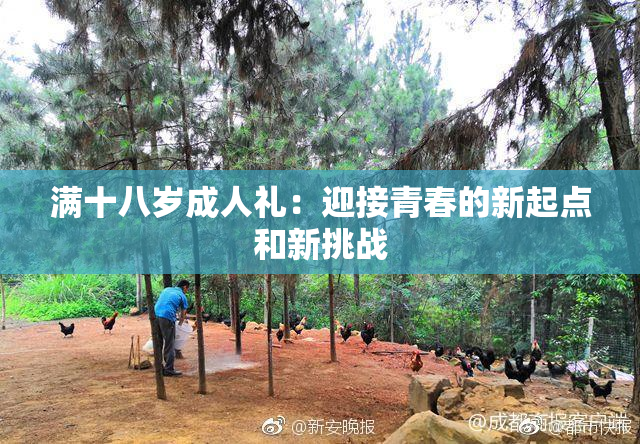 满十八岁成人礼：迎接青春的新起点和新挑战