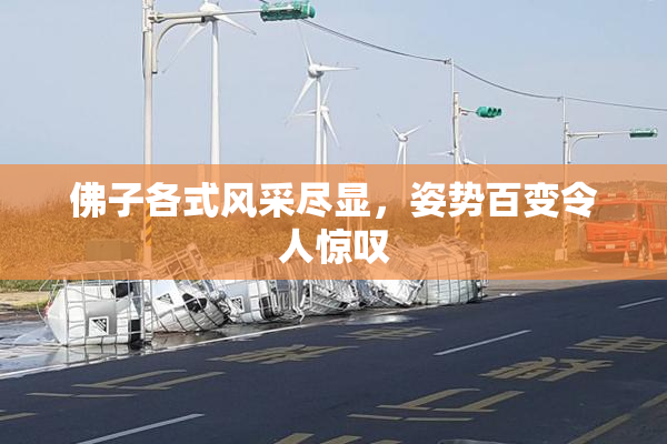 佛子各式风采尽显，姿势百变令人惊叹
