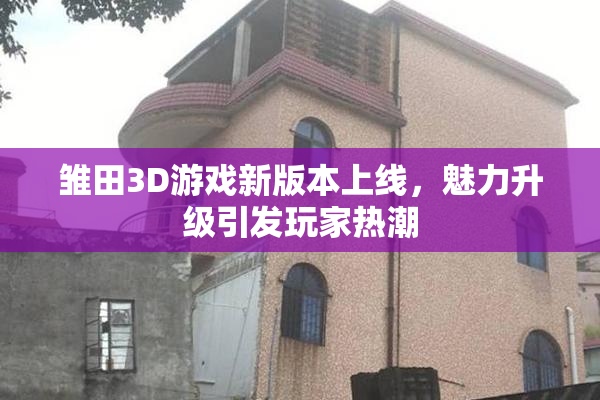 雏田3D游戏新版本上线，魅力升级引发玩家热潮