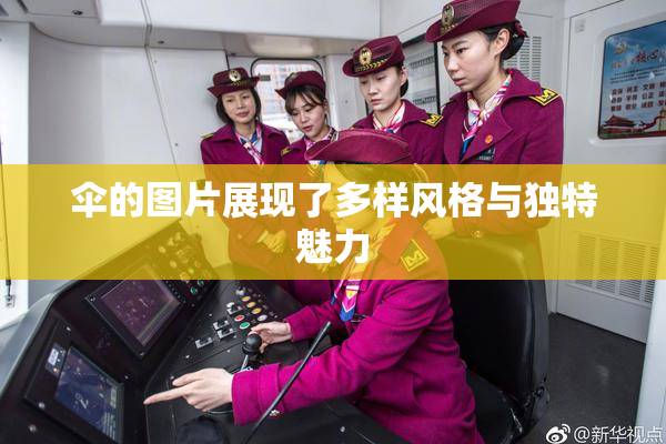 伞的图片展现了多样风格与独特魅力