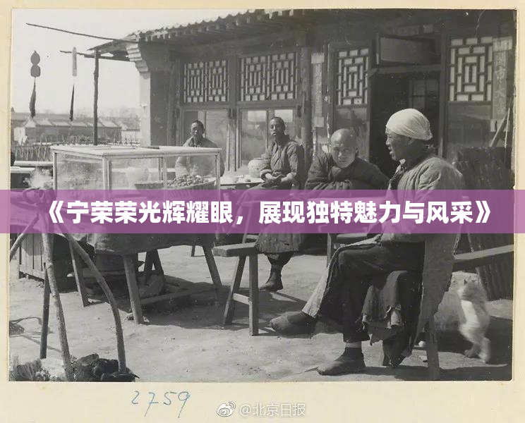 《宁荣荣光辉耀眼，展现独特魅力与风采》