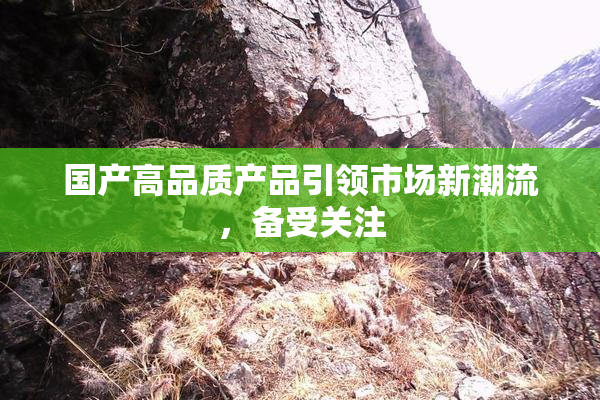 国产高品质产品引领市场新潮流，备受关注