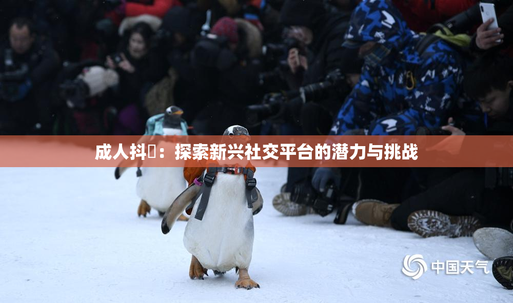 成人抖抈：探索新兴社交平台的潜力与挑战