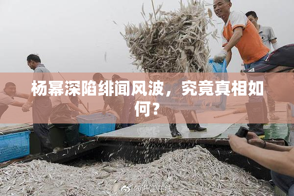 杨幂深陷绯闻风波，究竟真相如何？
